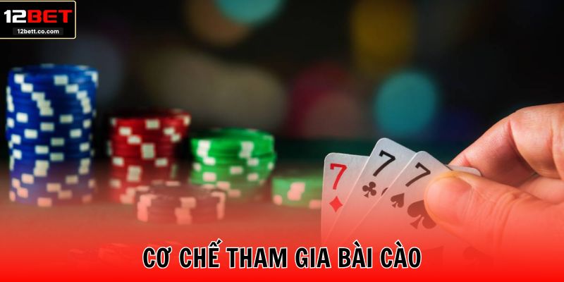 Cơ chế tham gia bài cào