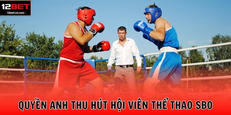 Quyền anh thu hút hội viên thể thao SBO