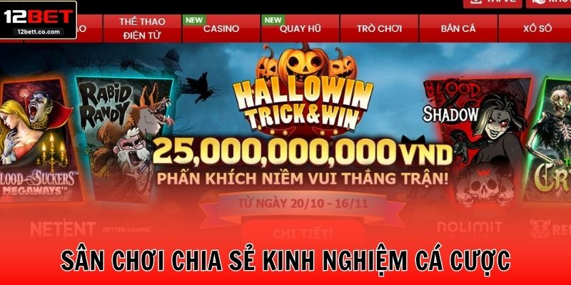 Sân chơi chia sẻ các kinh nghiệm cá cược